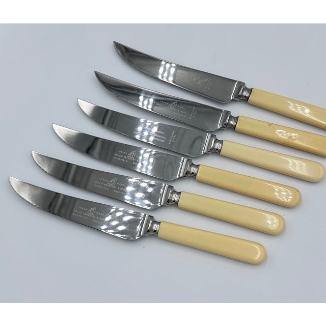 1960s Vintage Philip Ashberry & Sons Sheffield England Celluloid Dinner Knife Set - 6pc For Sale - Image 5 of 11