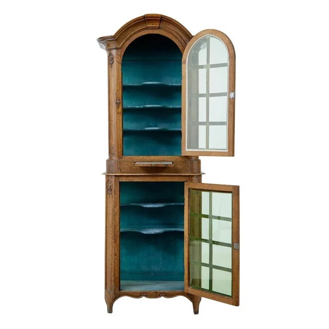 Antique Glazed Carved Oak Liège Cabinet For Sale - Image 9 of 11