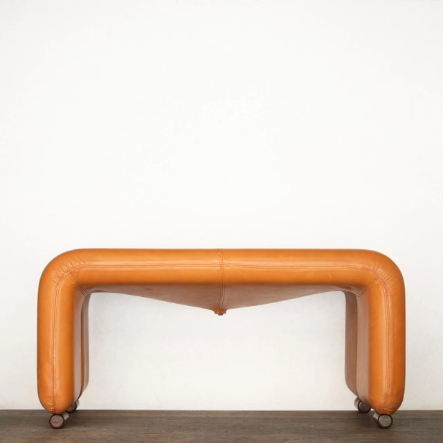 Animal Skin Coronado Ottomans by Afra & Tobia Scarpa for B&B Italia / C&B Italia, 1970s, Set of 2 For Sale - Image 7 of 18