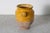 19th Century 19th Century Spanish Pottery For Sale - Image 5 of 6