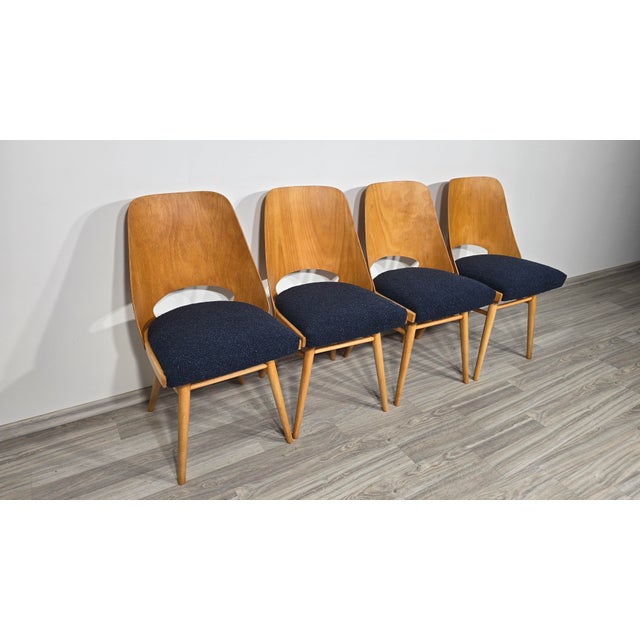 Brown Dining Chairs by Radomir Hoffman for Ton, 1950s, Set of 4 For Sale - Image 8 of 15