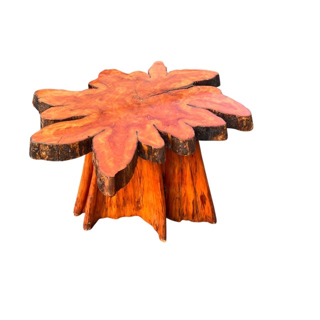 Beautiful Vintage Cypress Live Edge Tree Stump Center Coffee Table For Sale - Image 4 of 15