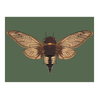 Bugs by Seguy #3 For Sale