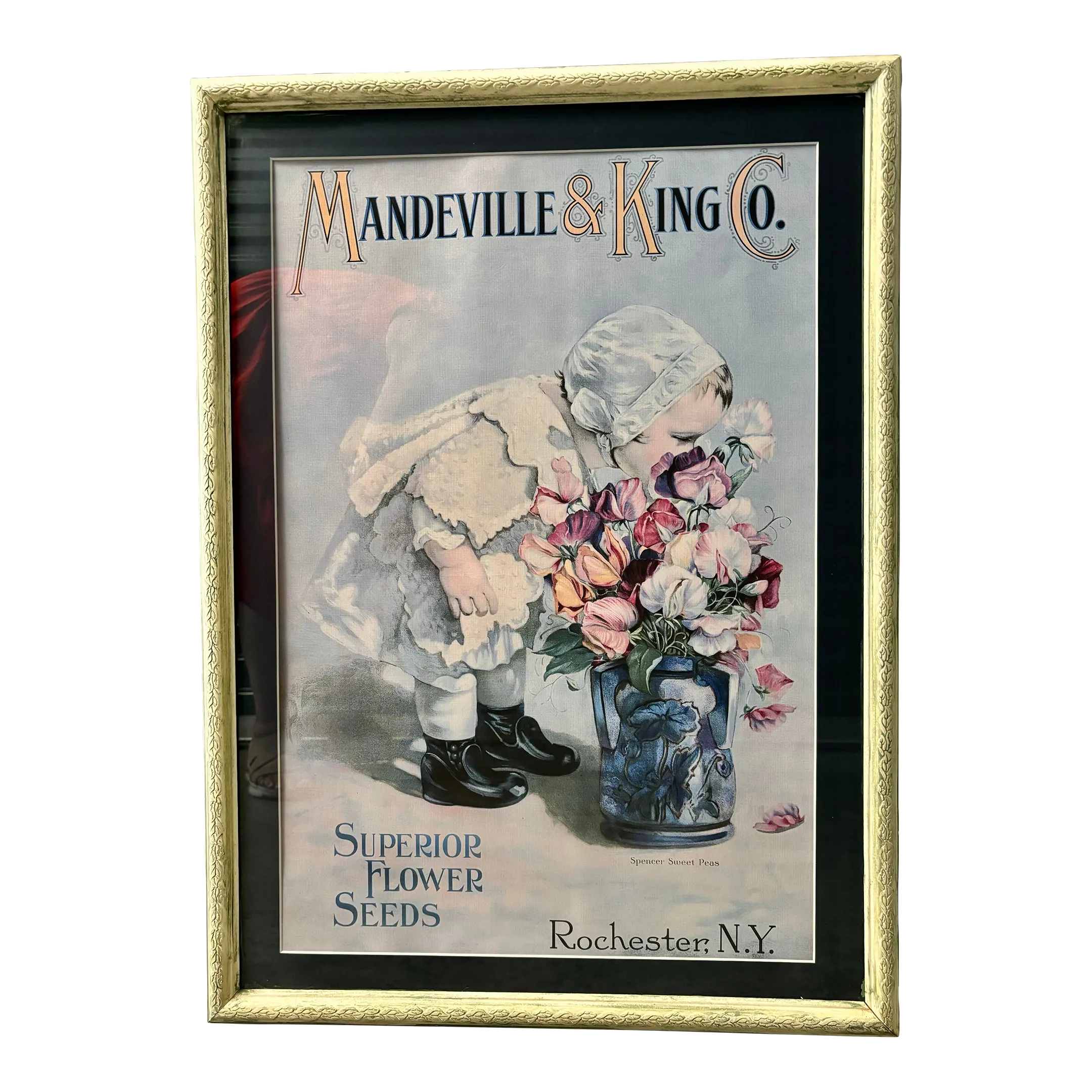 Mid 20th Century Mandeville & King Co Superior Flower Seeds