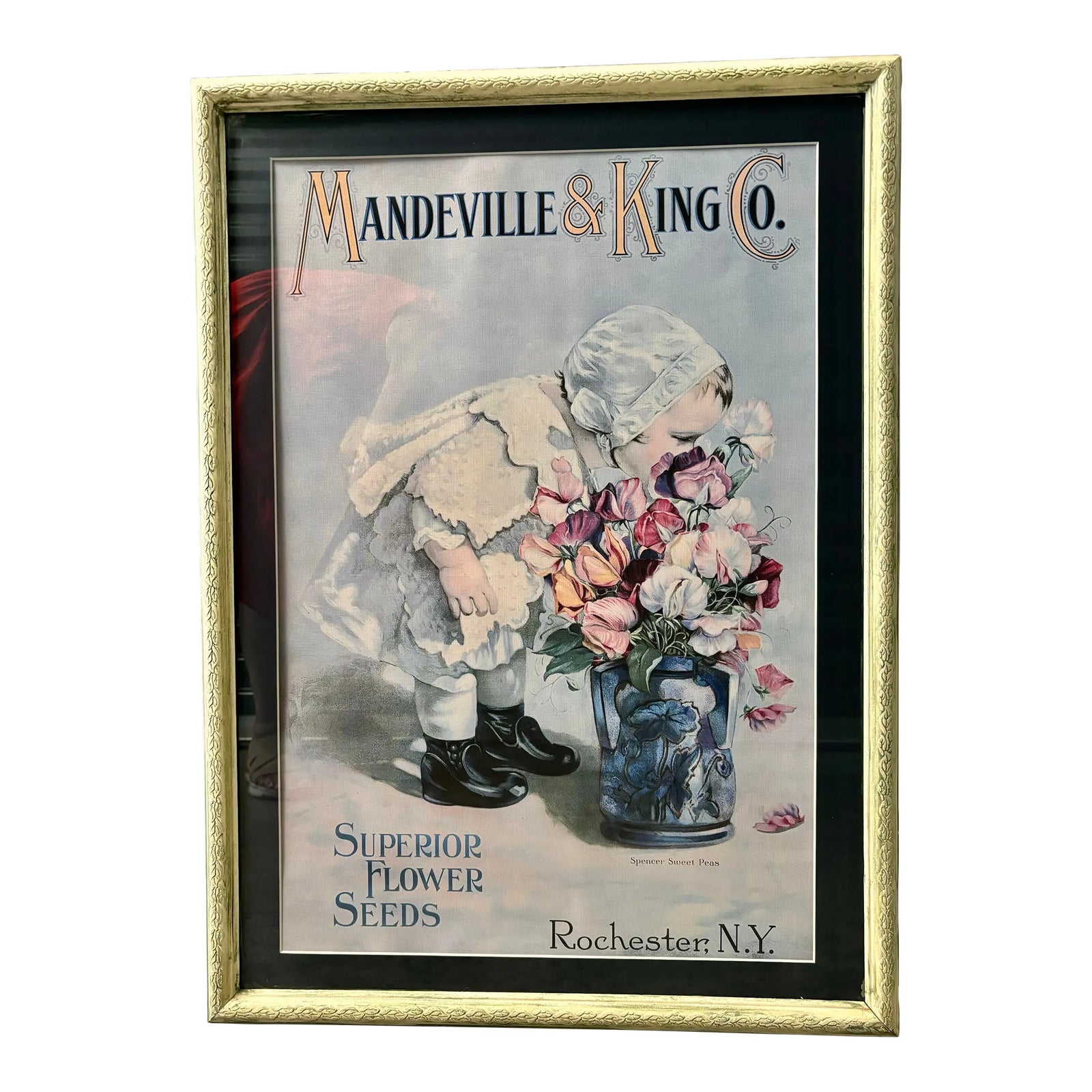 Mid 20th Century Mandeville & King Co Superior Flower Seeds