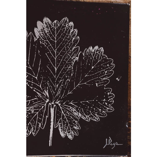 Botanical Metal Wall Art Print by J Page, 1970s For Sale - Image 4 of 5