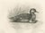 After Lilian Medland, Duck and Young, 1909, Print For Sale - Image 12 of 12