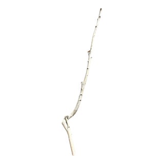 Birchwood Branch Piece for Decoration, Style G For Sale