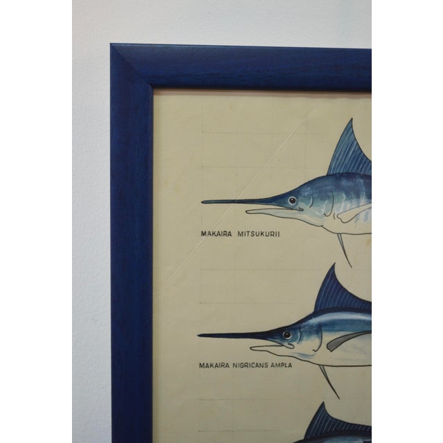 After Walter Stackpool, Marlin, 1970s, Gouache on Paper, Framed For Sale - Image 7 of 9