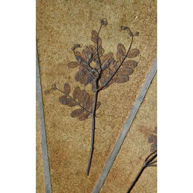 Oval Les Herbiers Coffee Table by Roger Capron for Vallauris, 1960s For Sale - Image 17 of 18