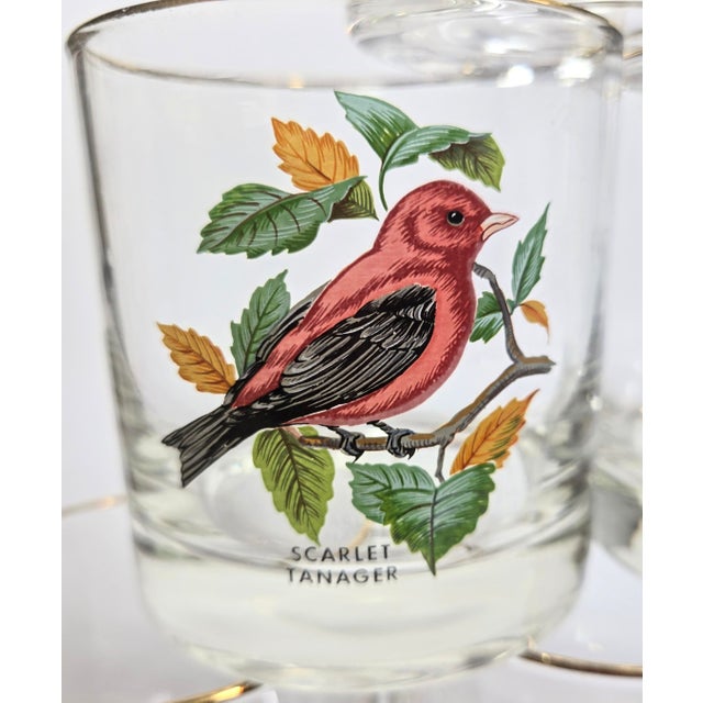 Mid 20th Century Birdwatchers Songbird Lowball Glasses- Set of Six For Sale - Image 5 of 12