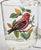 Mid 20th Century Birdwatchers Songbird Lowball Glasses- Set of Six For Sale - Image 5 of 12
