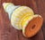 Late 20th Century MacKenzie-Childs Aurora 1997 Hand-Painted Ceramic Sugar Shaker / Caster For Sale - Image 9 of 18