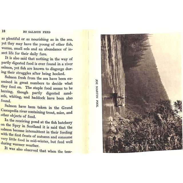 "Observations on a Salmon River" 1921 Griswold, F. Gray For Sale In New York - Image 6 of 8