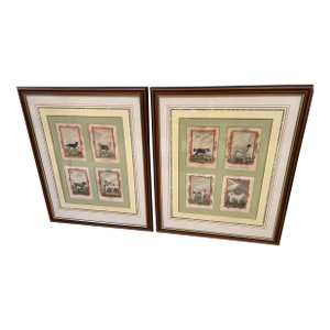Framed 18th Century Dog Engravings -A Pair