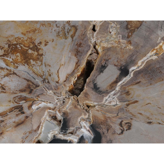 Contemporary Petrified Wood Coffee Table by Xyleia Petrified Wood For Sale - Image 3 of 5