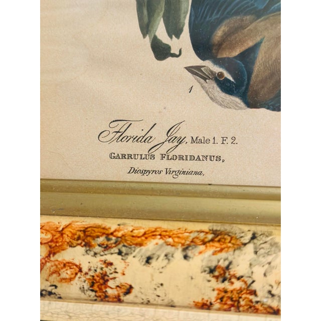 Wood Vintage Bird Print, Framed For Sale - Image 7 of 8