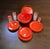 Pic Boll Picnic Set by Carlo Viglino for Guzzini, Italy, 1960s For Sale - Image 10 of 10