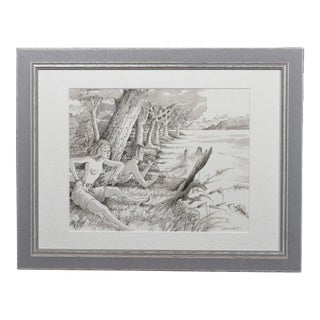 Marc Dumont French Figurative Ink & Wash “Le Corbeau / Bain a Corbie,” 20th Century For Sale