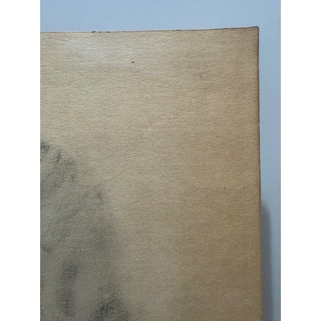 Mid 20th Century André Vertès Attributed Original Drawing Female Portrait Mixed Media on Paper For Sale - Image 10 of 14