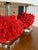 Plastic Pair of Red Faux Coral Table Lamps on Clear Acrylic Bases For Sale - Image 7 of 12