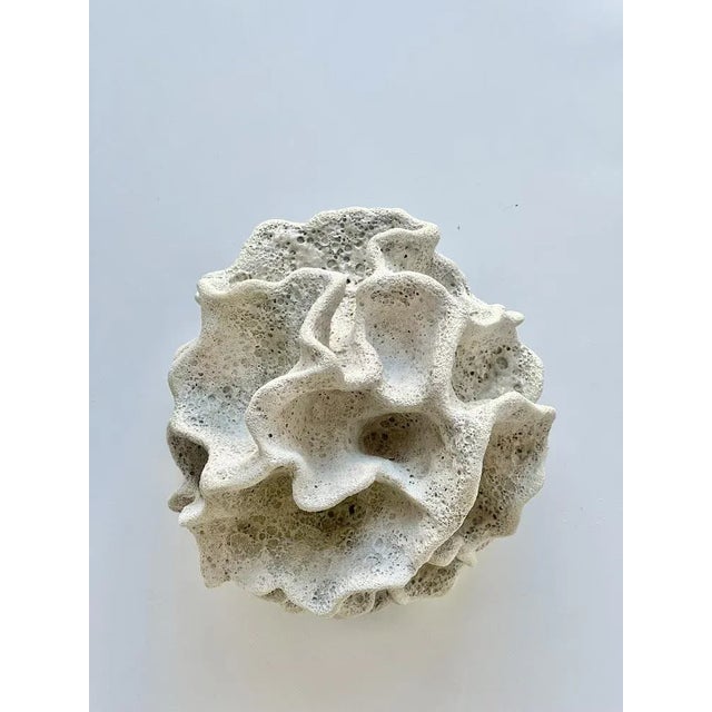 Ceramic Coral sculpture by N'atelier Ceramics made with stoneware. This piece is 'made to order' therefore slight...