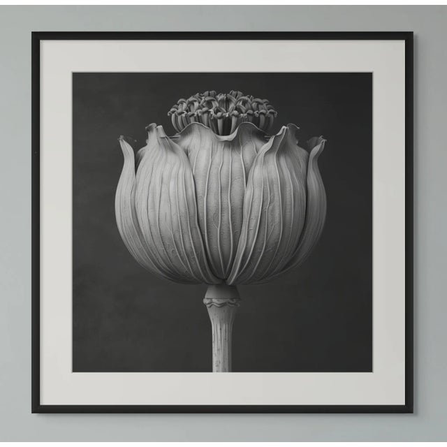 'Poppy Pod Head' No. 2 - Black and White Botanical Photography Print / Karl Blossfeldt For Sale - Image 4 of 5