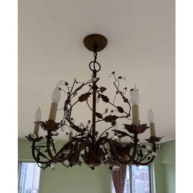 Currey & Company Currey & Company "Crystal Bud" Chandelier Pair — Cupertino Bronze, 8-Light + 6-Light, Discontinued For Sale - Image 4 of 5