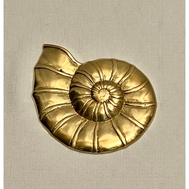 Vintage Palm Beach Regency Polished Brass Sea Shell Wall Decor - Set of ...