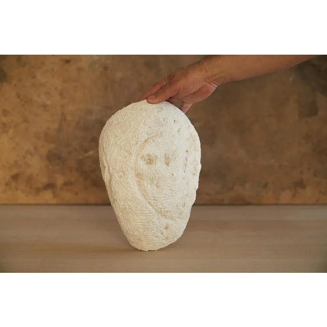 Not Yet Made - Made To Order The Most Primitive Face Sculpture by Jean-Baptiste Van Den Heede For Sale - Image 5 of 8