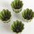 Contemporary Freya Mini Pots, Set Of 4 For Sale - Image 3 of 3