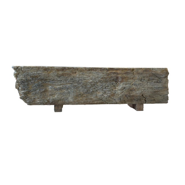 Petrified Wood Bench by Xyleia Petrified Wood For Sale - Image 4 of 5