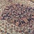 Textile Sarouk Floral Medallion Rug by Ignoto for Ignoto For Sale - Image 7 of 11