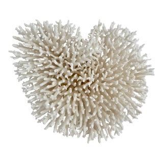 Wall Mounted White Table Coral Heart Shaped Specimen For Sale