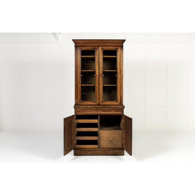 19th century english pollard oak bookcase a 19th century english pollard oak bookcase with glazed doors. this handsome...