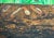 Original Ecotoxicology Illustration "Creepy Crawly Pop-Art" Circa 1981 Bugs Insects For Sale - Image 4 of 9