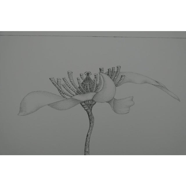 Gochka Charewicz, L'éclosion, Lithograph For Sale - Image 5 of 8