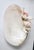 A beautifully composed coastal sculptural object handcrafted in Connecticut using a naturally polished pearl oyster half...