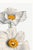 White Matilija Poppy, Vintage Botanical Art Print Reproduction by Mary Vaux Walcott, 20" X 30" For Sale - Image 8 of 10