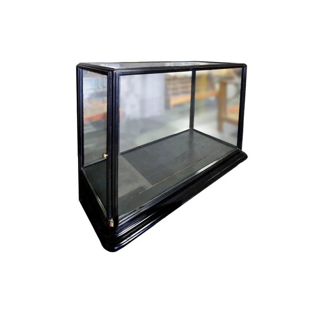 Early 20th century antique English museum display cabinet. Black painted wood. The doors open on both sides of the case.