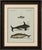 Original antique print of orca, whale and dolphin by bertuch, 1805 original antique hand-colored copper engraving...
