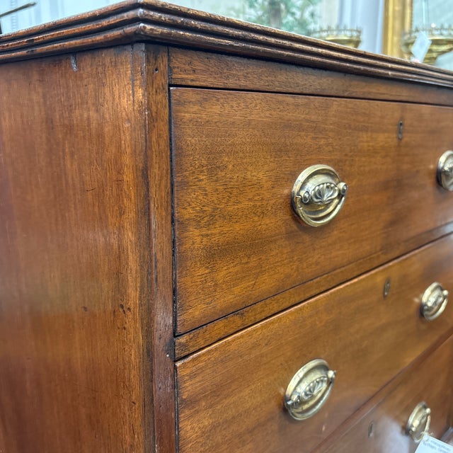 Miniature British Chest For Sale In Nashville - Image 6 of 7
