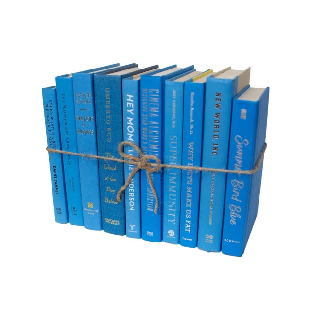 Booth & Williams Decorative Books - Sky Book Bundle - 1 Foot of Blue Books For Sale - Image 4 of 4