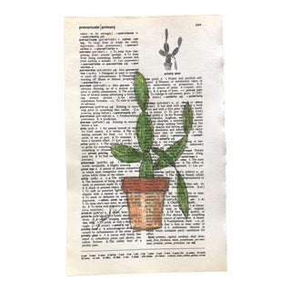 "Prickly Pear" Contemporary Colored Pencil Drawing on Dictionary Page by Nancy Smith For Sale
