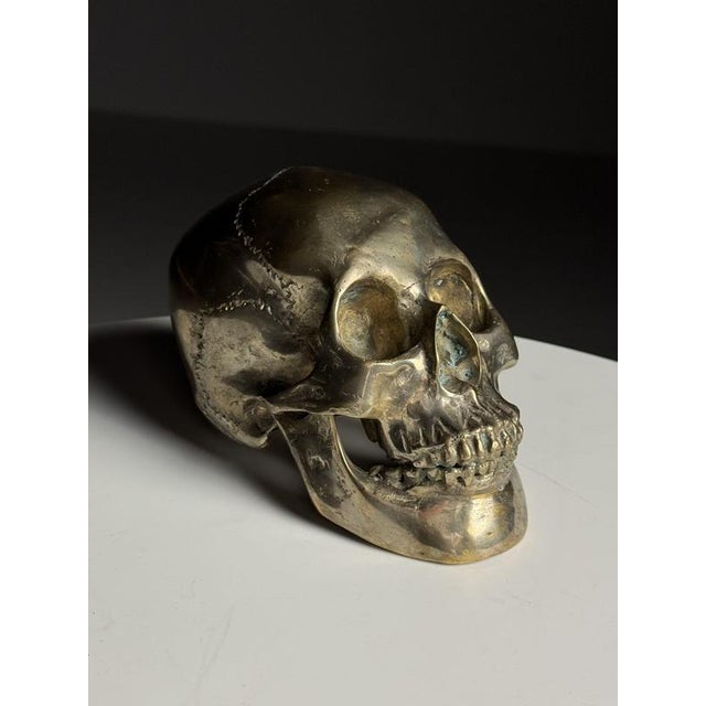 Bronze skull. Presumably Italian, early to mid-20th century. Beautiful color and patina. Dimensions: 18L x 10W x 12H