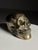 Bronze skull. Presumably Italian, early to mid-20th century. Beautiful color and patina. Dimensions: 18L x 10W x 12H