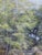 1970s M. Lister, Lake Coniston, Oil on Board For Sale - Image 5 of 13
