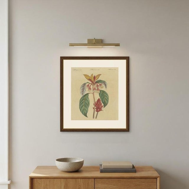 Bertuch, Flowering Shrub with Red Blossom, 1815, Print For Sale - Image 10 of 12