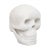 20th Century Marble Skull Decorative Ornament For Sale - Image 11 of 11