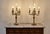 19th Century Bronze Candelabra Lamps, Set of 2 For Sale - Image 13 of 16